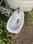 Bidet z armaturą ferro