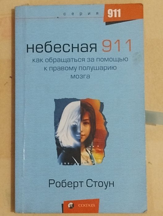 Книга Роберта Стоуна Небесная 911