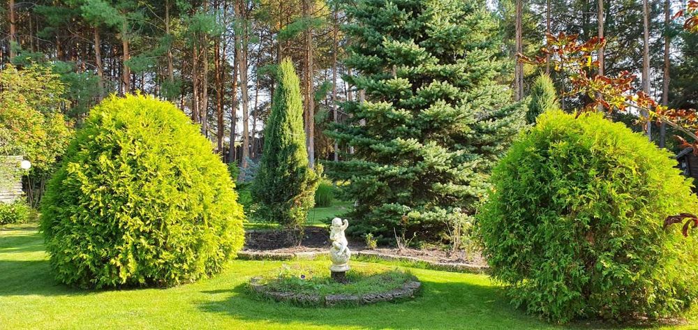 Продам будинок. Козин, Дамба, Роздолля