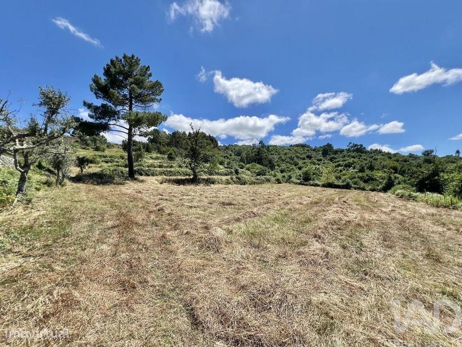 Terreno em São Paio de 24000,00 m2