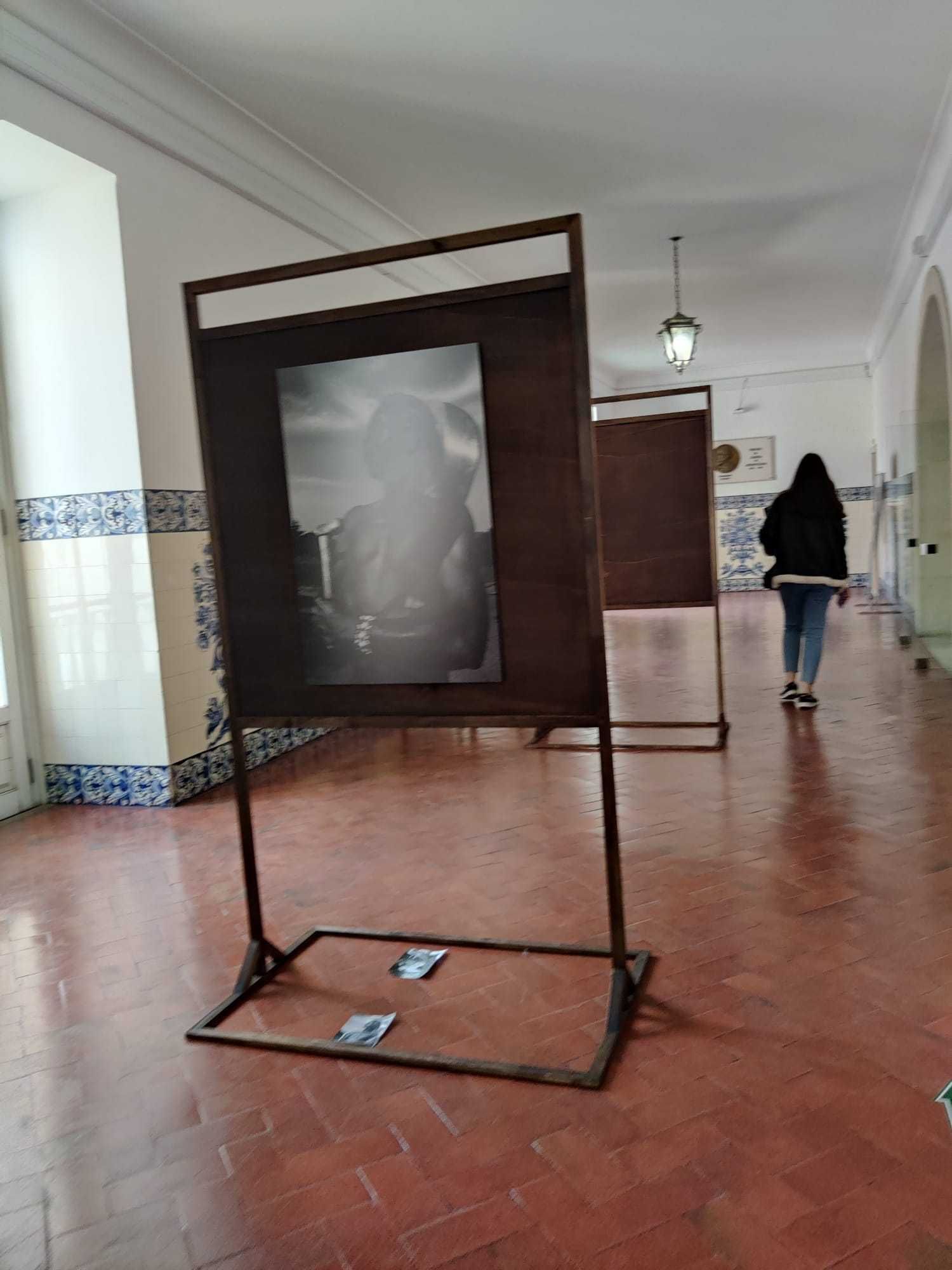 Expositores em madeira