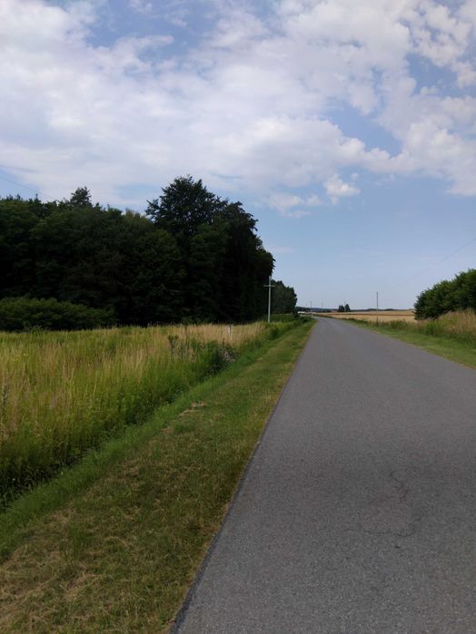 działka 47 arów z warunkami zabudowy pod lasem