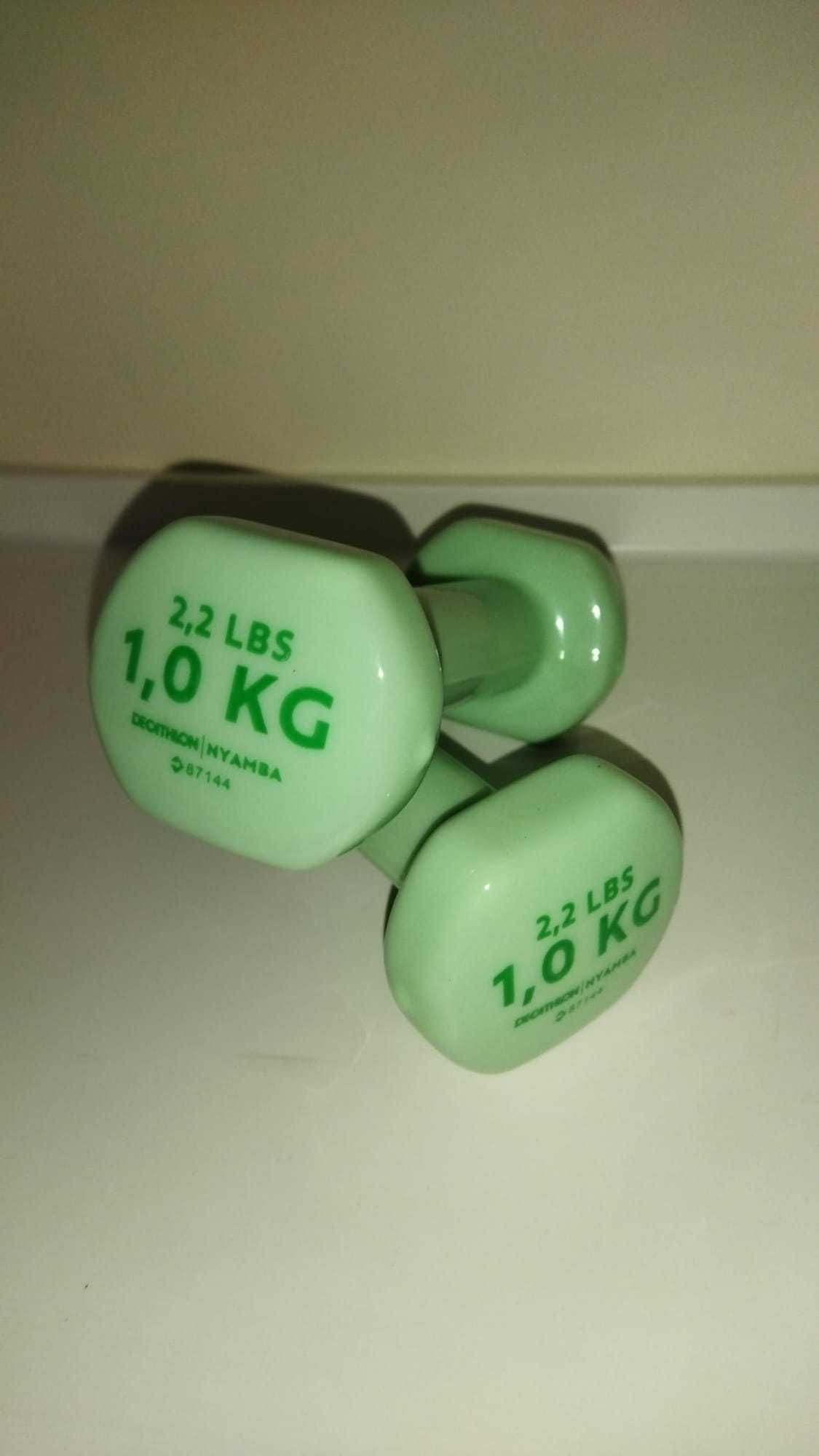 Pesos para treino 1KG