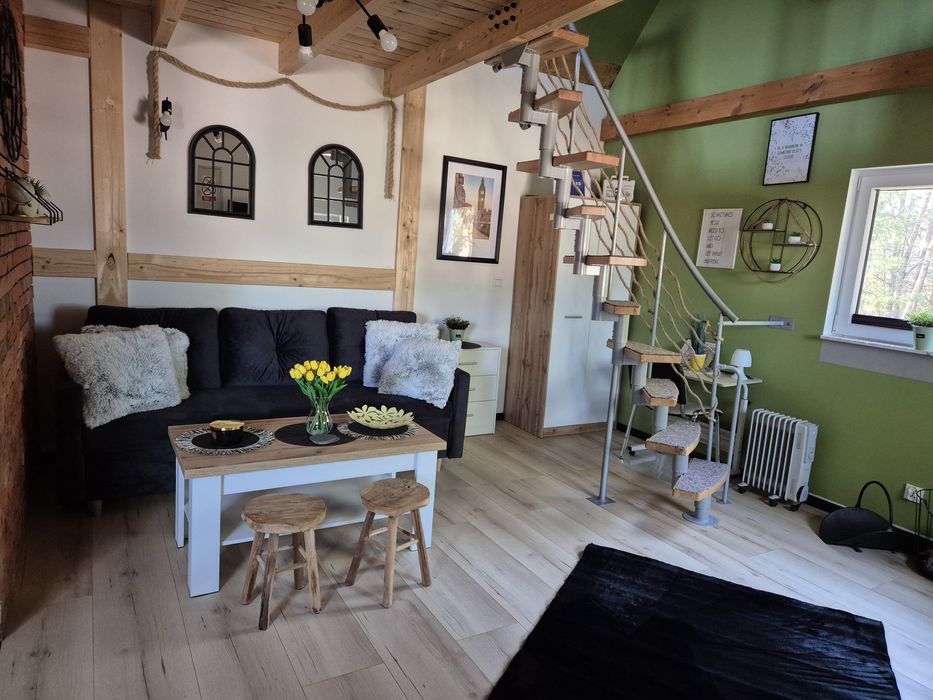 Domek na Kaszubach z kozami!!!