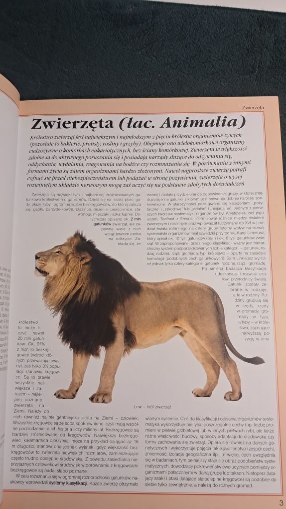 Książka - Zwierzęta Świata