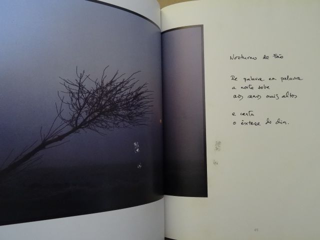 O Comum da Terra de Eugénio de Andrade