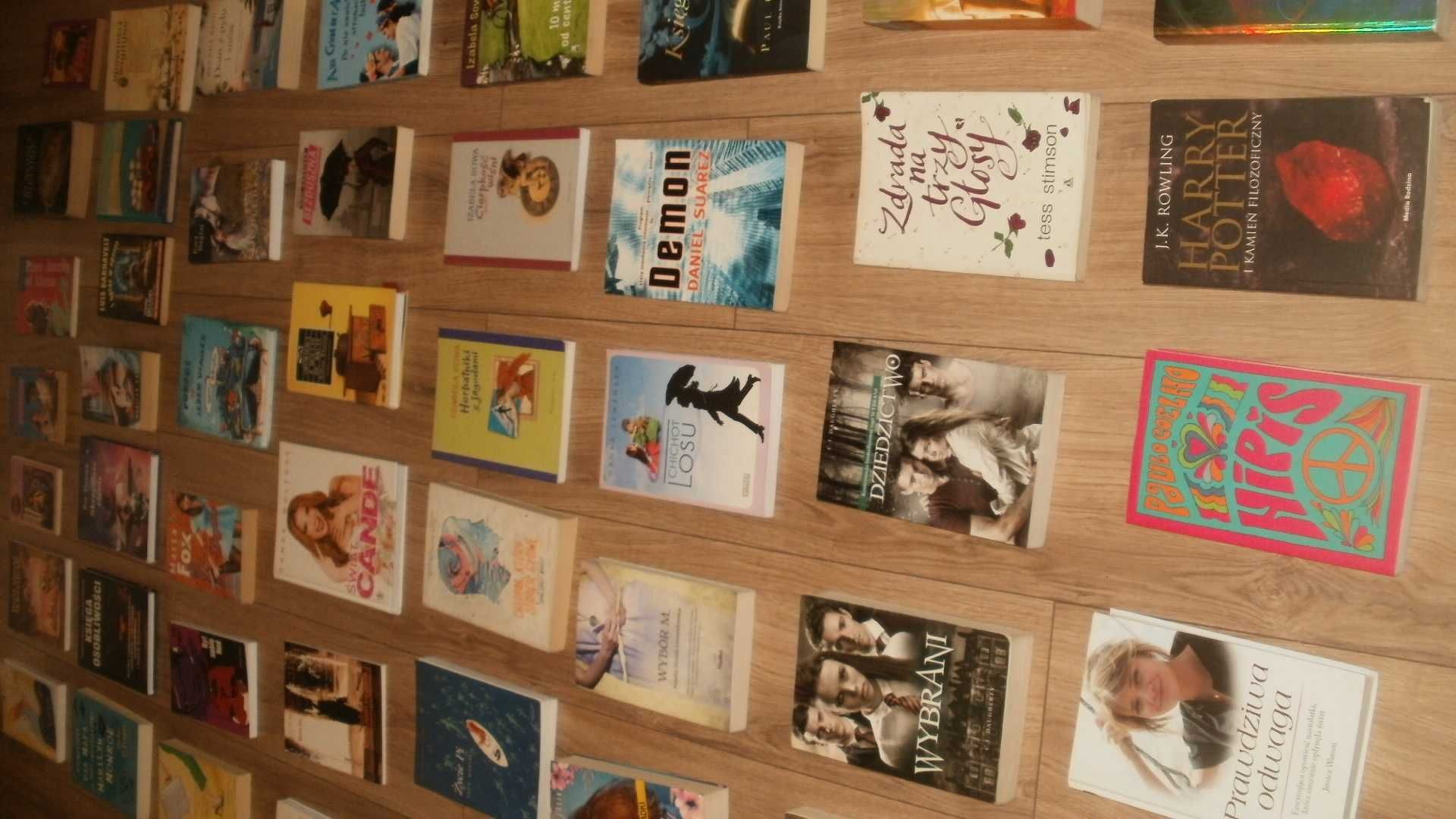 John Green, I. Sowa i inni - olbrzymi zestaw książek
