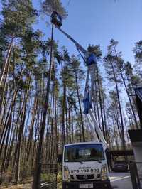 Przycinanie,wycinanie drzew  usługi podnośnikiem zwyżka rębak