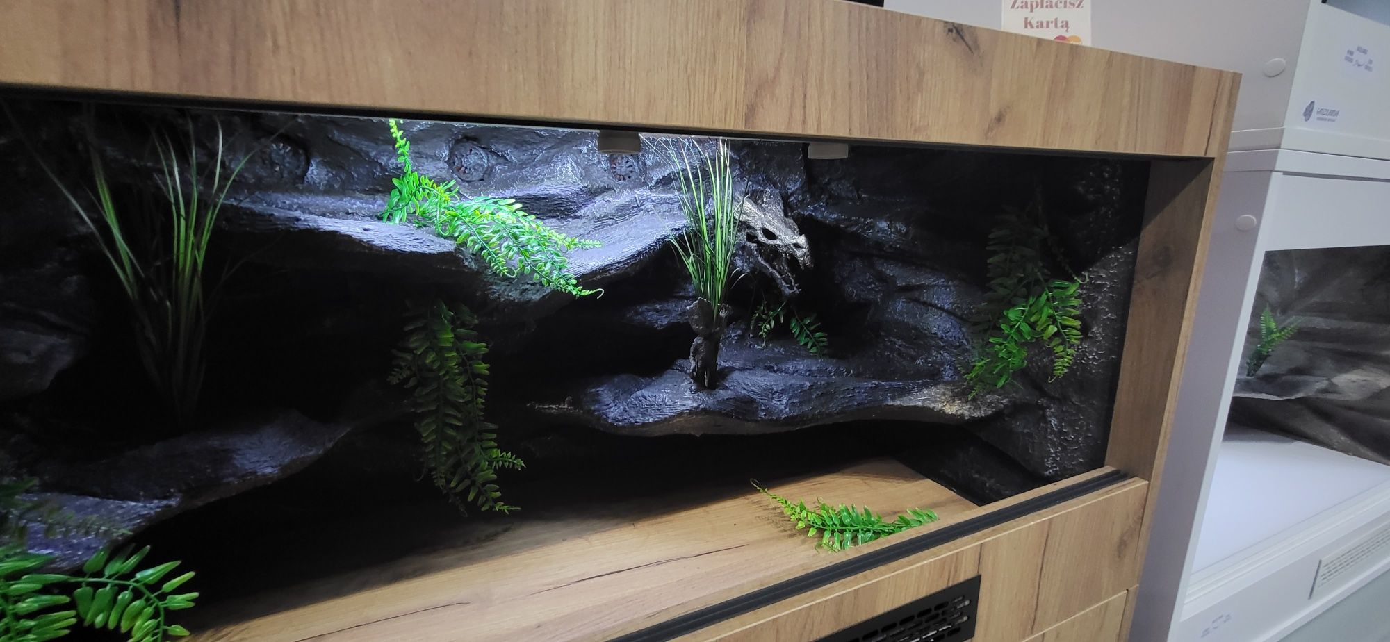 Terrarium Komoda GadziLandia 100x50x50 Agama Gekon Wąż