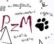 Korepetycje z matematyki stacjonarnie i online