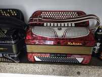 Acordeão Hohner 4 voz