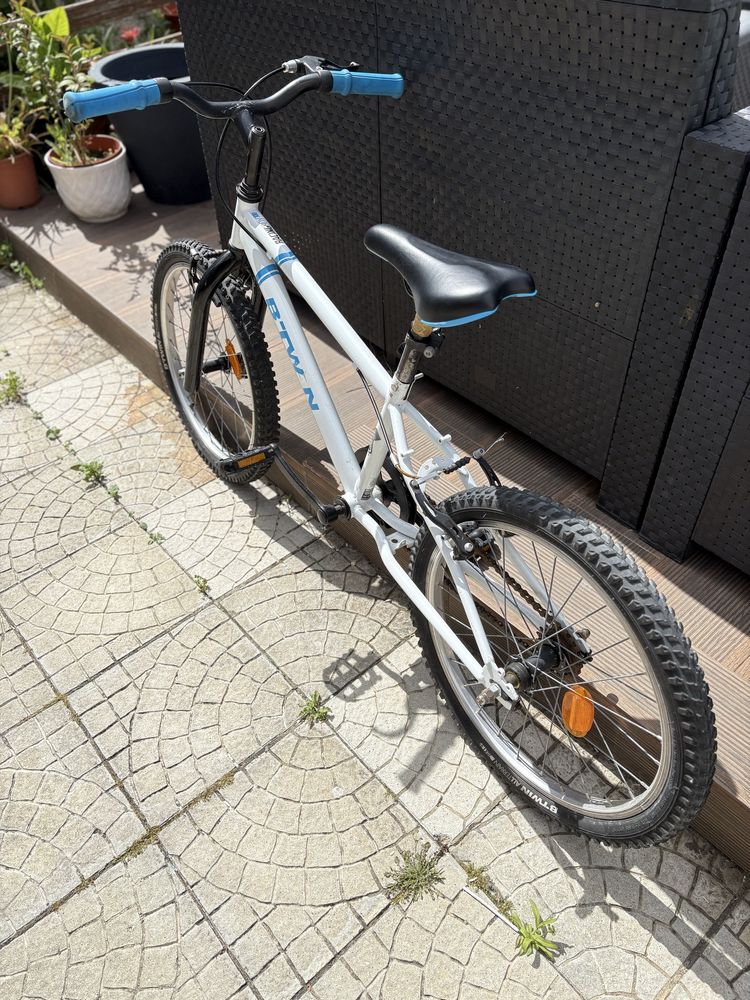 Bicicleta criamca