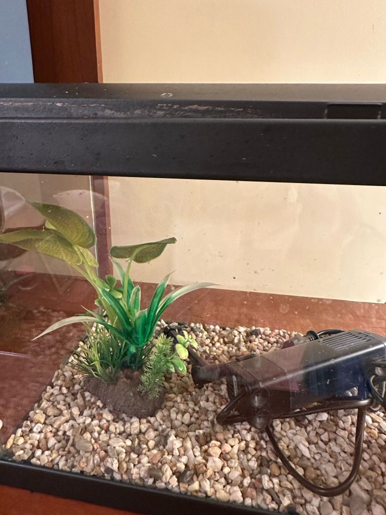 Aquario 20 Litros com Led e acessórios