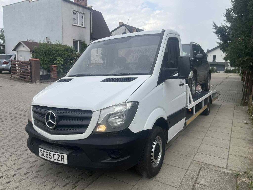 Mercedes Sprinter 313