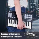 MIDI-клавіатура Worlde Panda mini 2