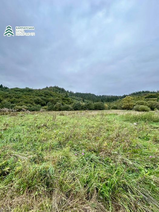 Земельна ділянка в селі Річка