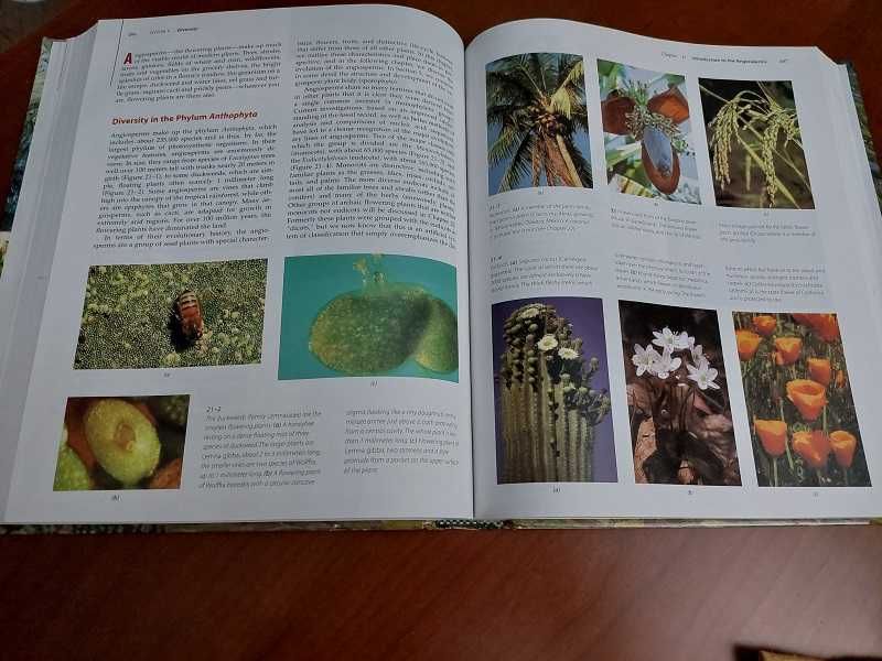 Livro “Biology of Plants” 6ª Edição - Impecável