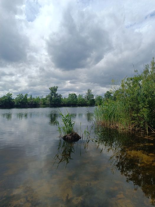 Земельна ділянка у СТ "Мрія", р.Сомівка, Петріківський р-н!