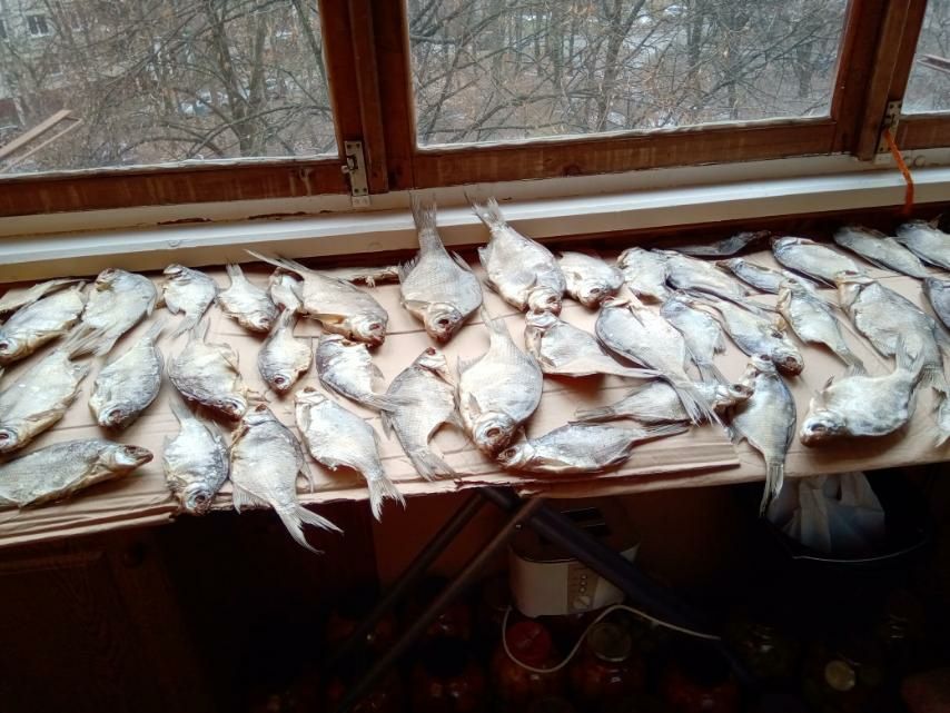 Продам недорого в'яленого леща
