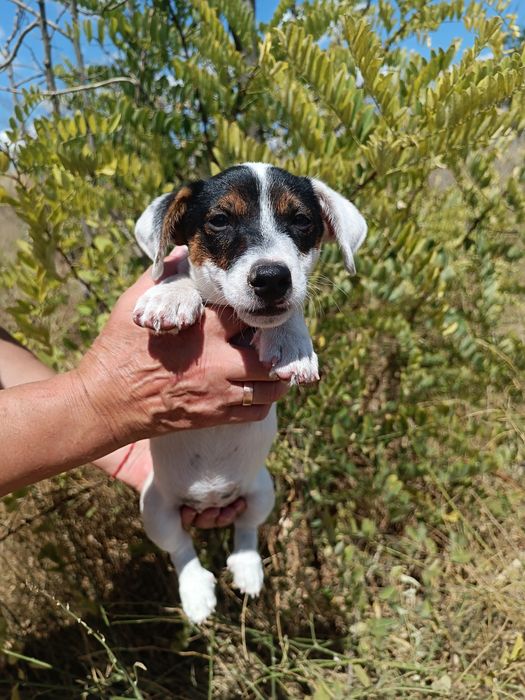 Полностью привита девочка