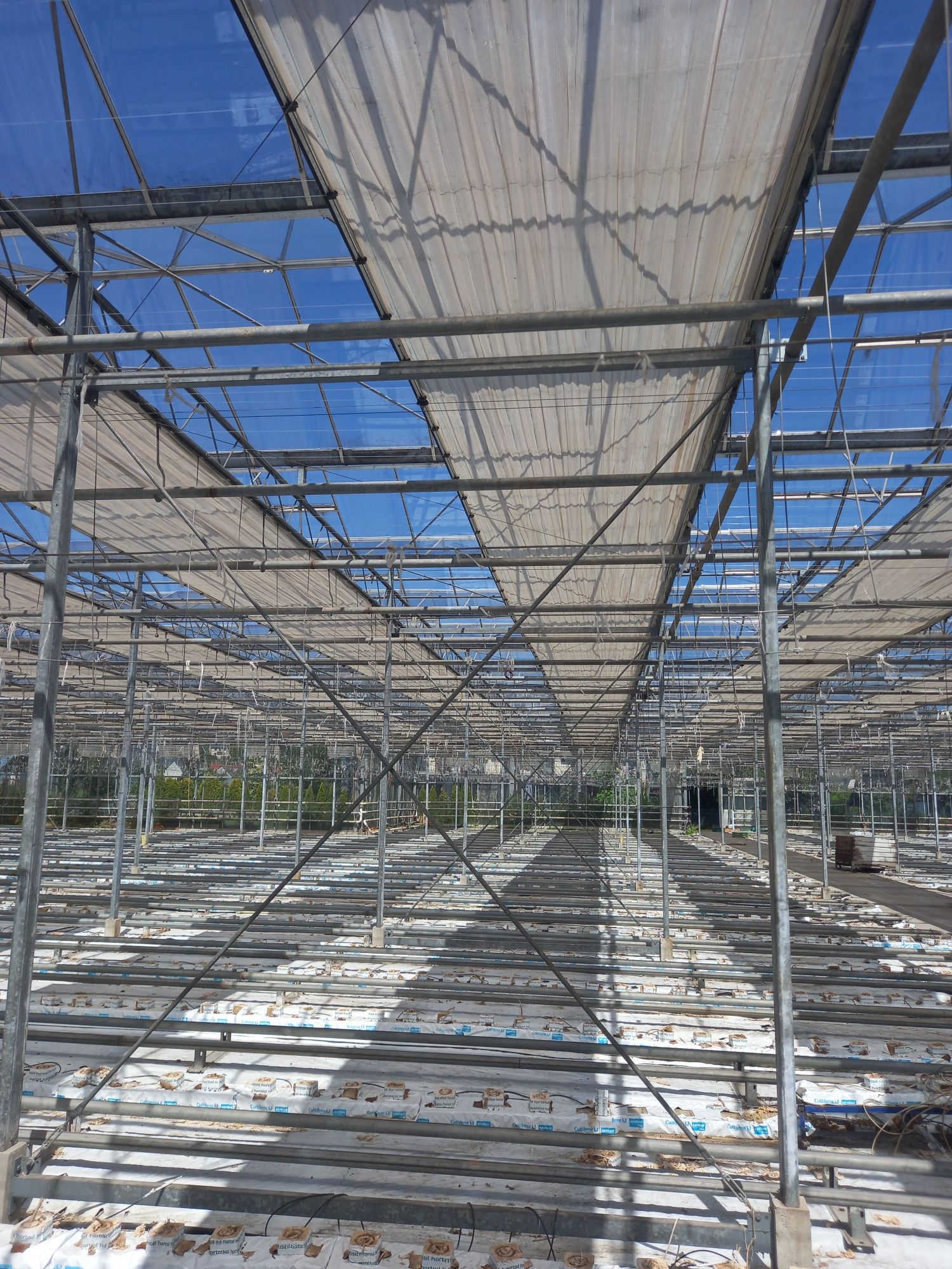 Szklarnia venlo 2700m2 holenderka