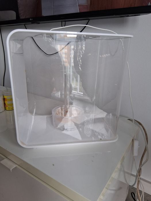 Aquario com filtro alto design