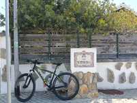 Scott aspect roda 29