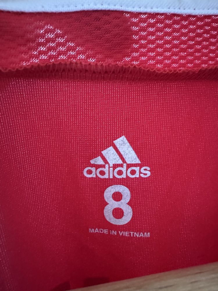 Camisola de jogo Benfica Fejsa