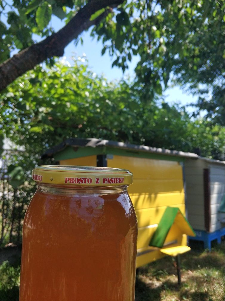 || Naturalny miód pszczeli ||