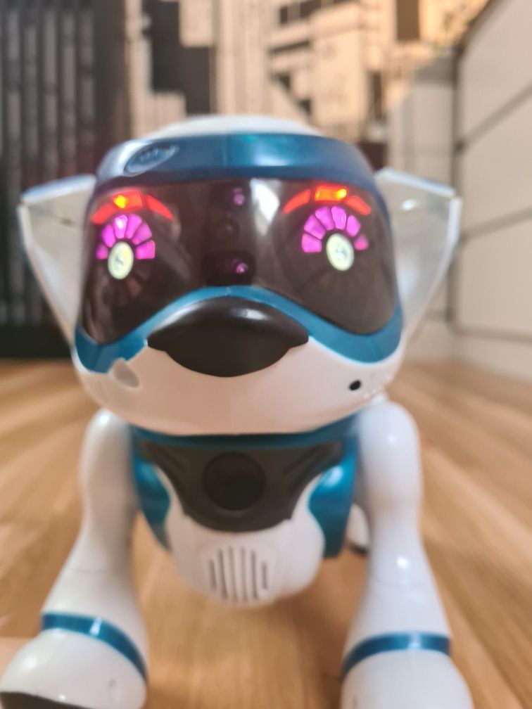 Pies robot, teksta