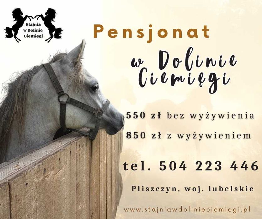Pensjonat dla koni