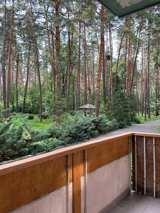 Будиночок у сосновому лісі біля Києва з мангалом і альтанкою