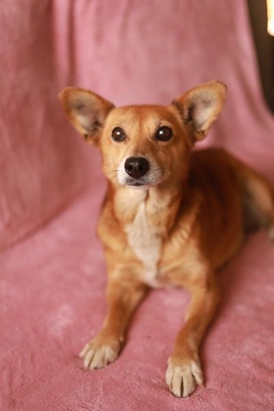 Odkryj we mnie wartość, daj szansę na wspaniałe życie