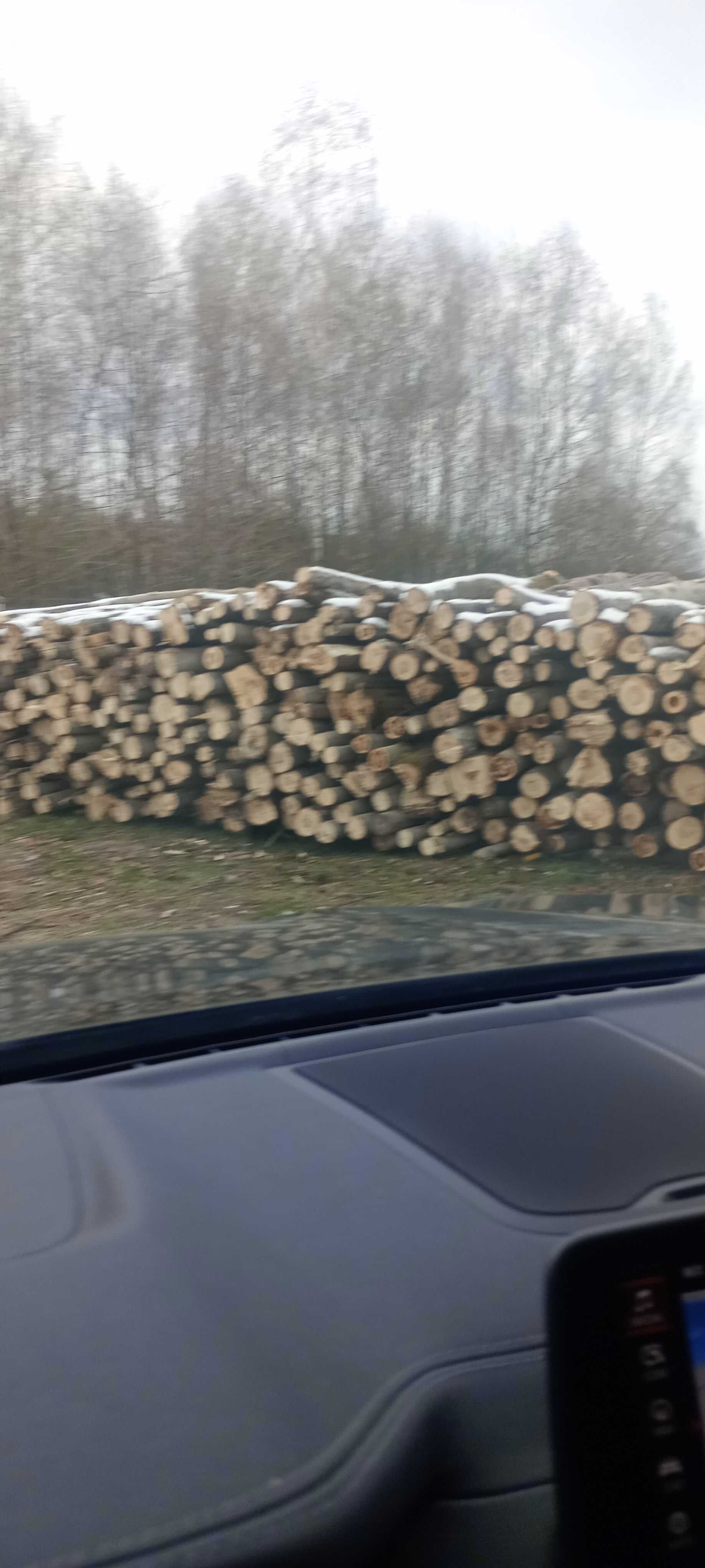 Sprzedam drewno z osiki na opał