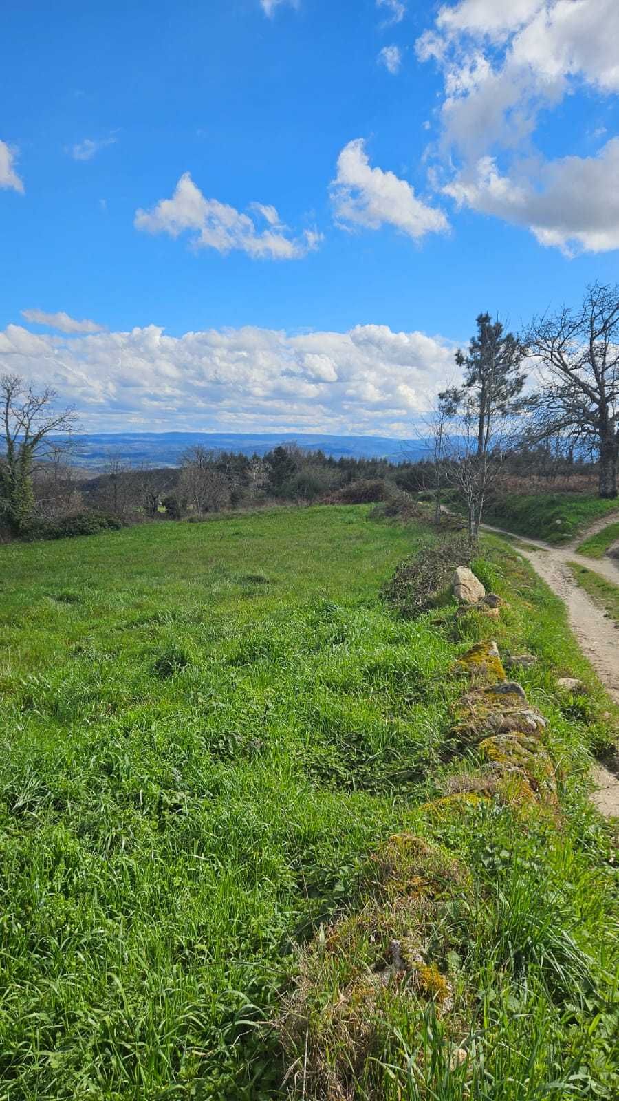 Terreno Frechão 2.2ha