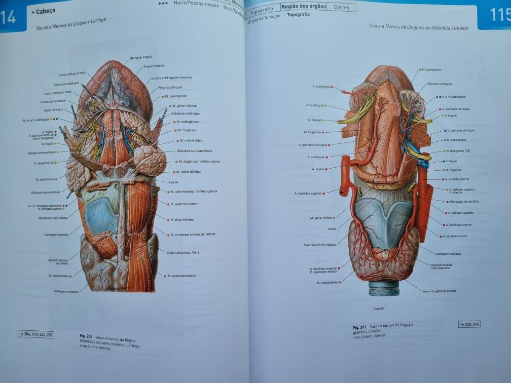 Livro SobotLivro Atlas de Anatomia Humana 22.° edição