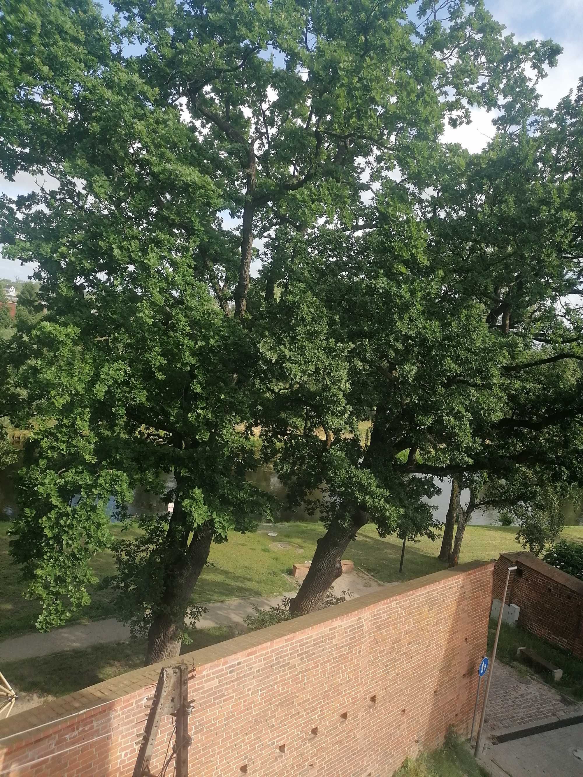 Sprzedam mieszkanie 10 km od morza