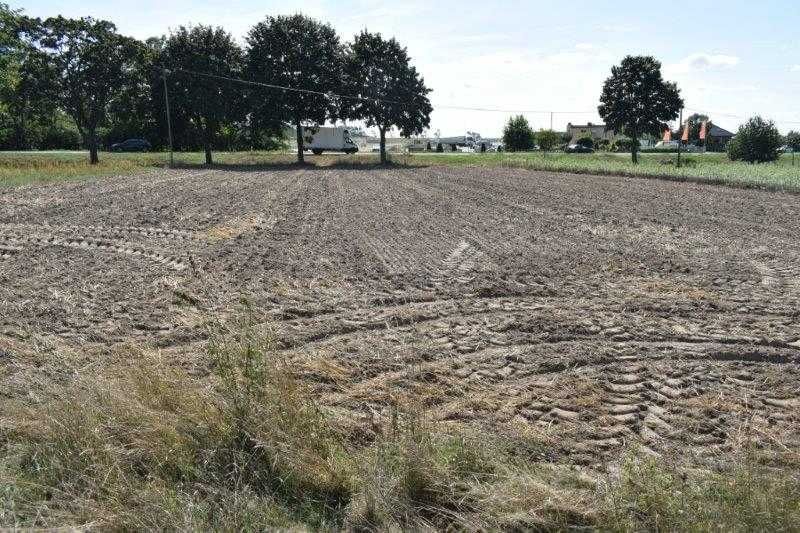 Nieruchomość rolna 25.400 m2 - Czekanów