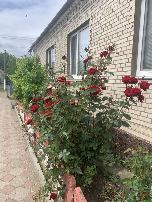 Продається будинок — заходь і живи! Від власника