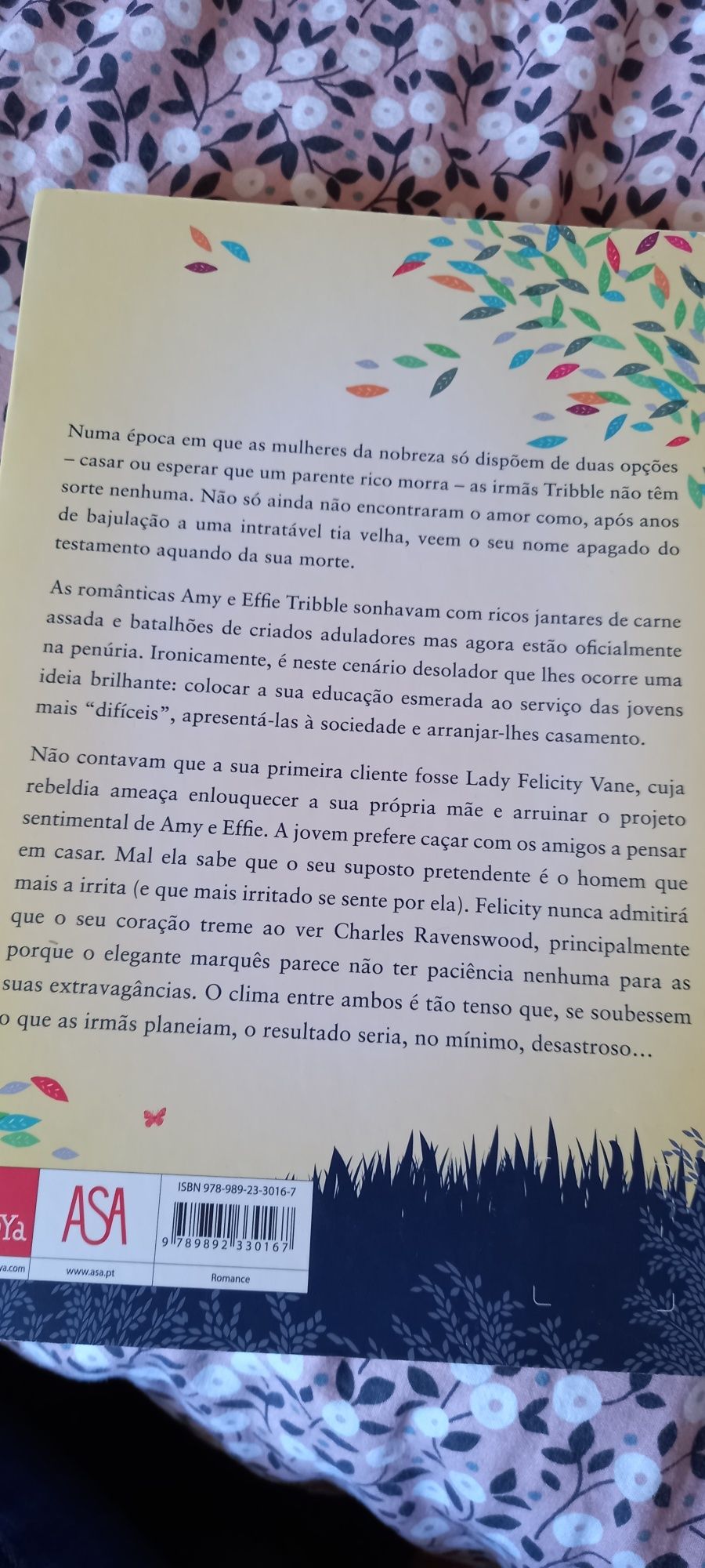 Livro A Educação de Felicity