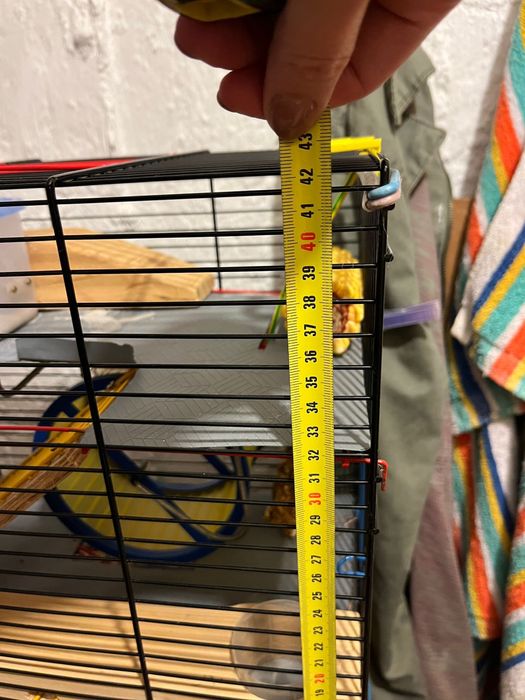 Rozbudowana i dobrze wyposazona klatka dla gryzoni