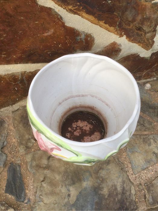 Grande Cachepot Antigo Vista alegre 32 cm Arte Nova