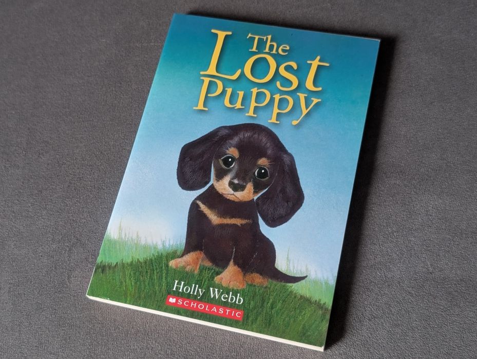 Книжка Lost Puppy англійською