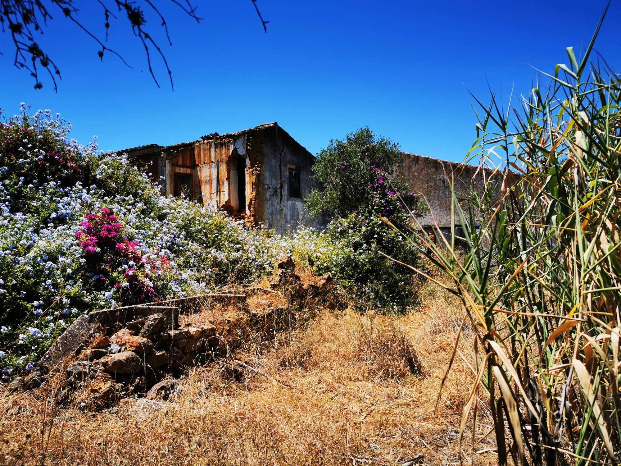 Limpeza de terrenos,desmatações /Landscape clearance,landscape changes