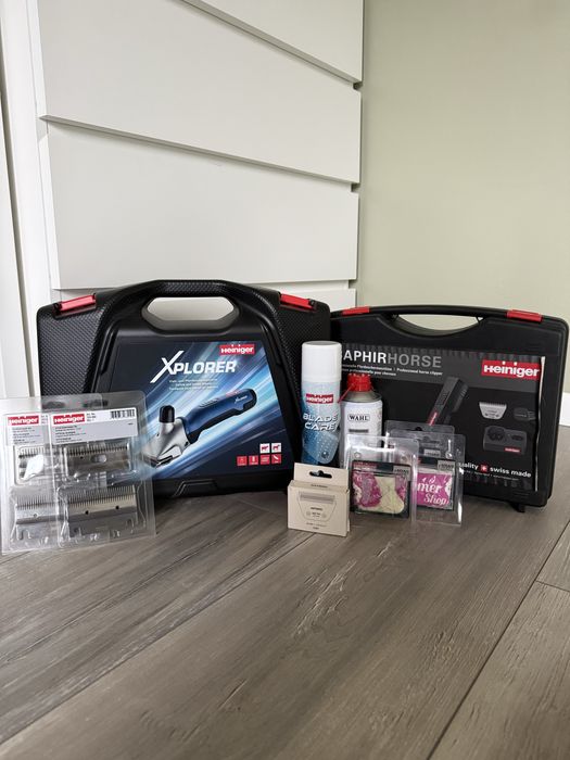 Golenie koni Lubuskie