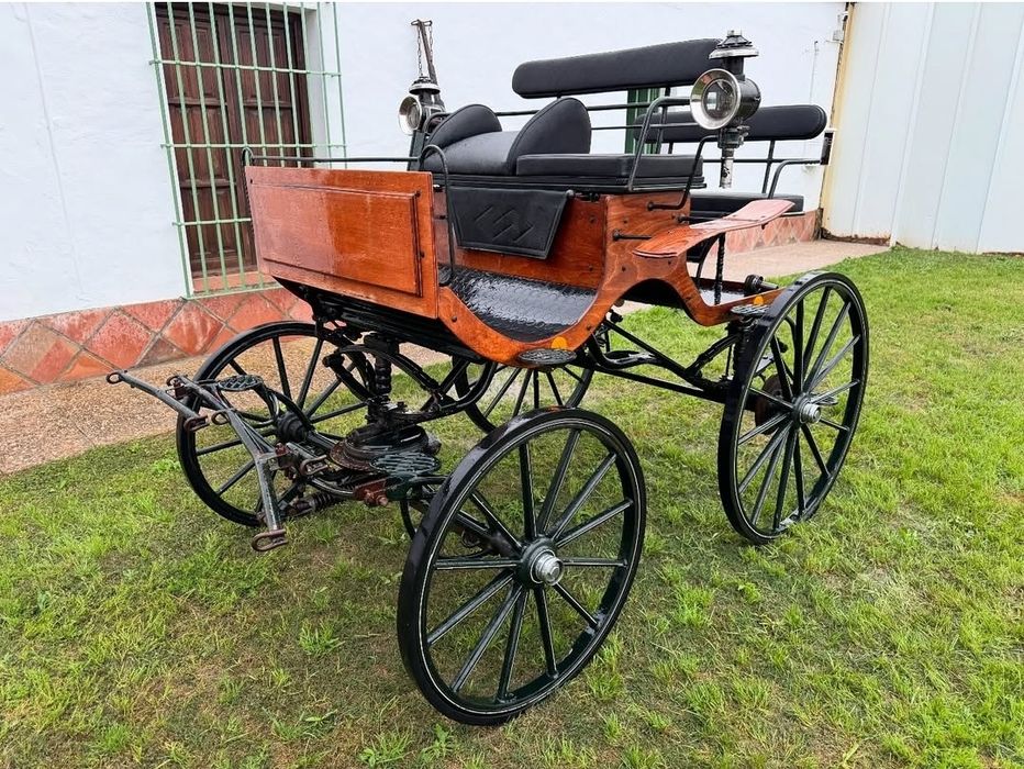 Vendo charrete spider