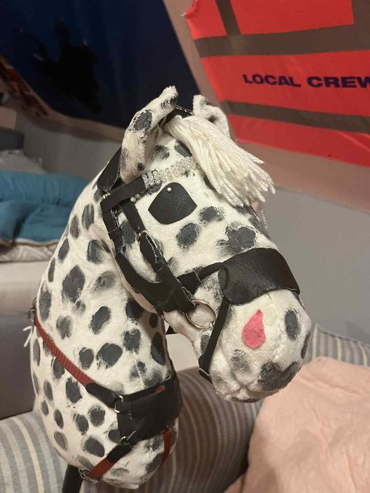 Hobby horse Konik w kropki a3 z kijem oraz akcesoriami

Nazwa: Konik w