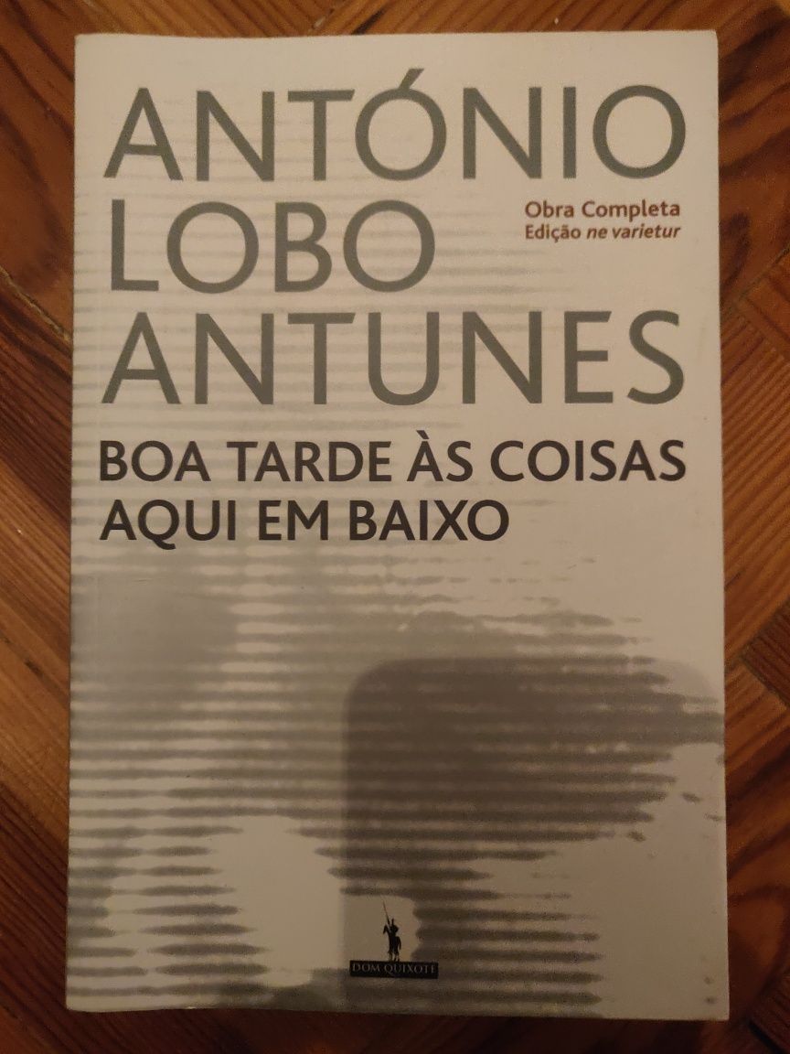 Boas tardes às coisas aqui em baixo