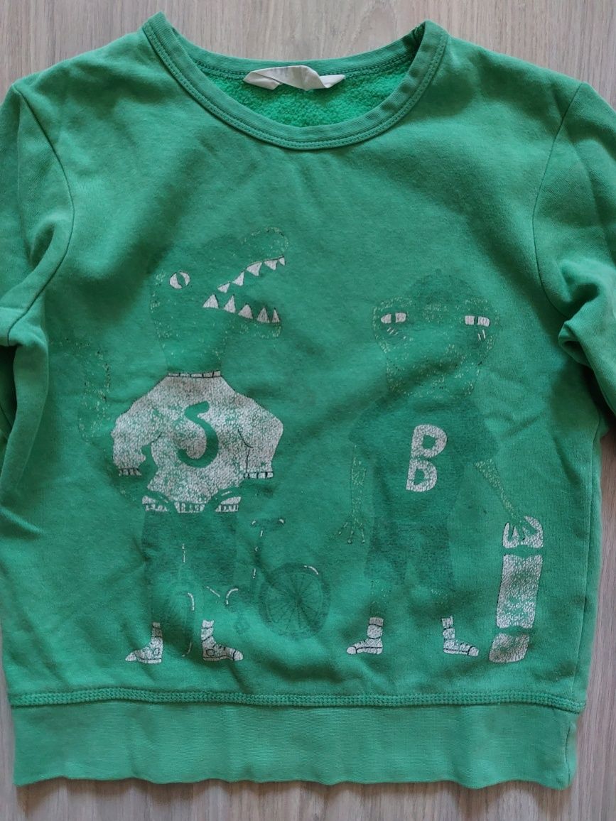 Bluza dla chłopca w dinozaury, H&M, r.122/128