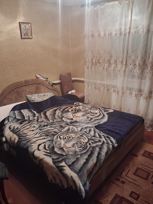 Продам будинок в смт Новомиколаївка (з/станція Верхньодніпровськ)